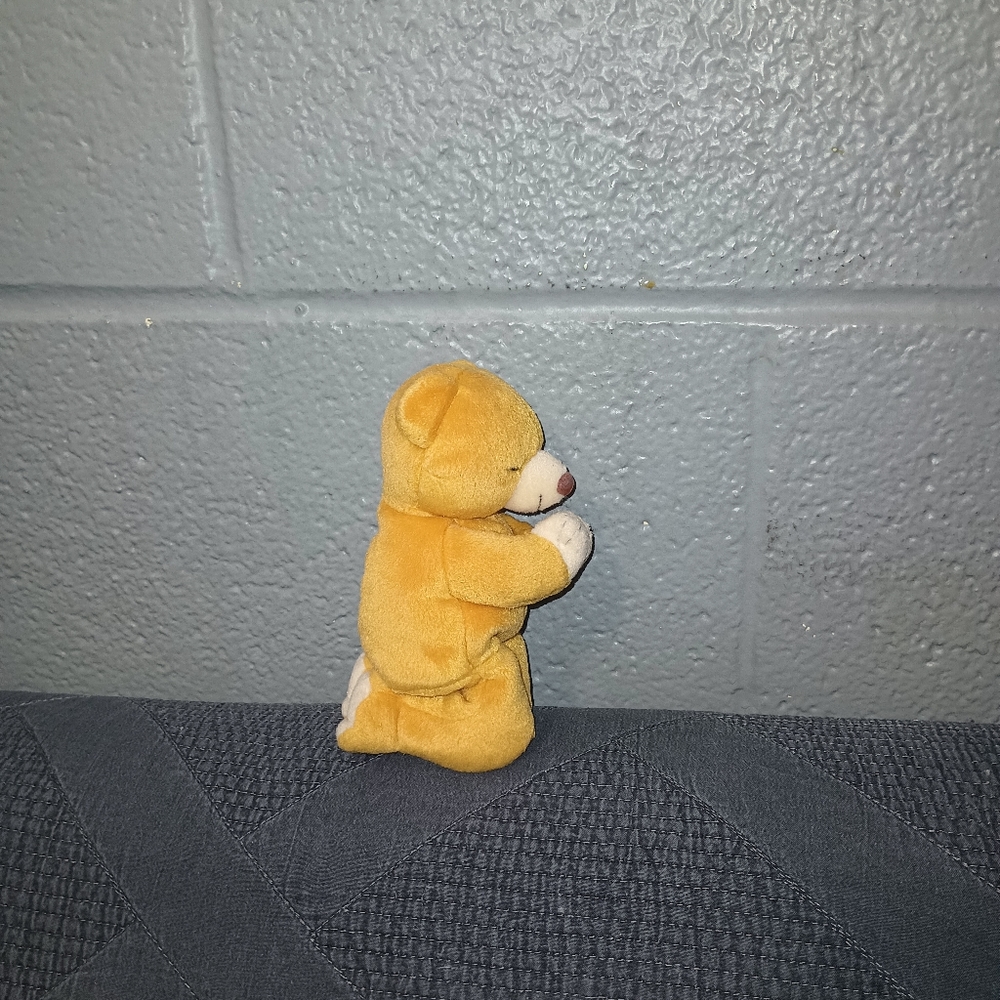 Hope ty beanie baby,